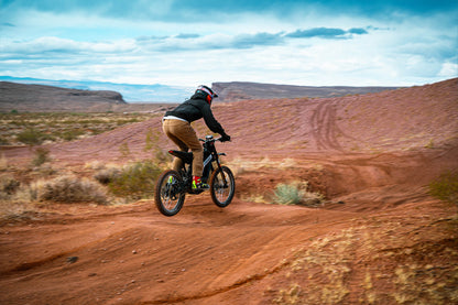 Cyrusher Terra Dirt E-Bike